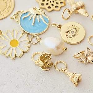 Charms vergoldet kleine Anhänger für Creolen Armbänder Eiffelturm Pilz böser Blick Seestern gold Blatt Süßwasserperle Muschel Tropfen Münze