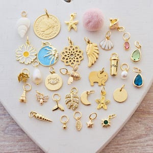 Charms vergoldet kleine Anhänger für Creolen Armbänder Eiffelturm Pilz böser Blick Seestern gold Blatt Süßwasserperle Muschel Tropfen Münze