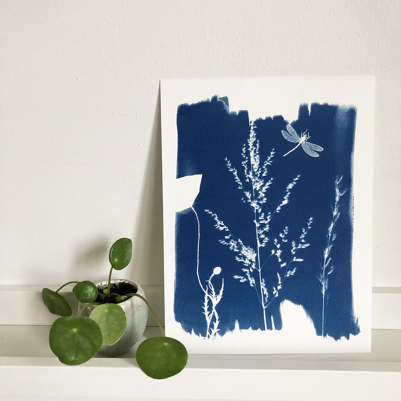Cyanotype Graminee Dragonfly