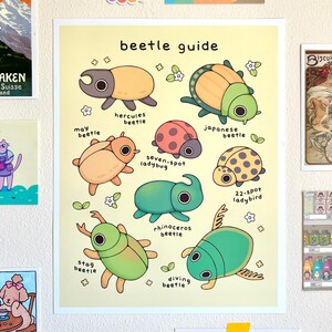 May include: A poster titled "beetle guide" featuring cartoon illustrations of various beetles, including Hercules, Japanese, and rhinoceros beetles. The illustrations are in a colorful, whimsical style, with each beetle labeled with its name.