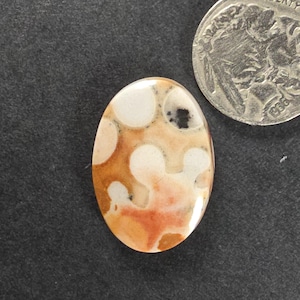 May include: Oval-shaped gemstone with a polished surface. The stone features a pattern of white and brown spots and swirls, with a touch of orange and black. A silver coin is next to the gemstone.