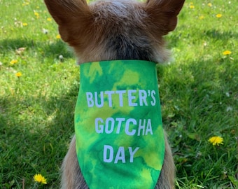 Gotcha Day Dog Bandana