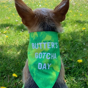 Gotcha Day Dog Bandana