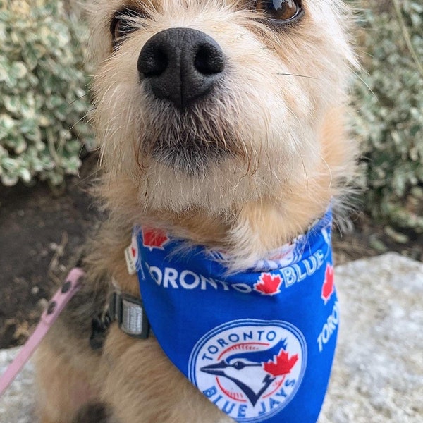 Toronto Blue Jays Etsy Canada