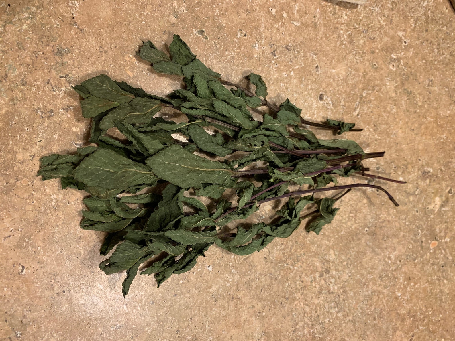 Dried Mint Whole Leaves Etsy