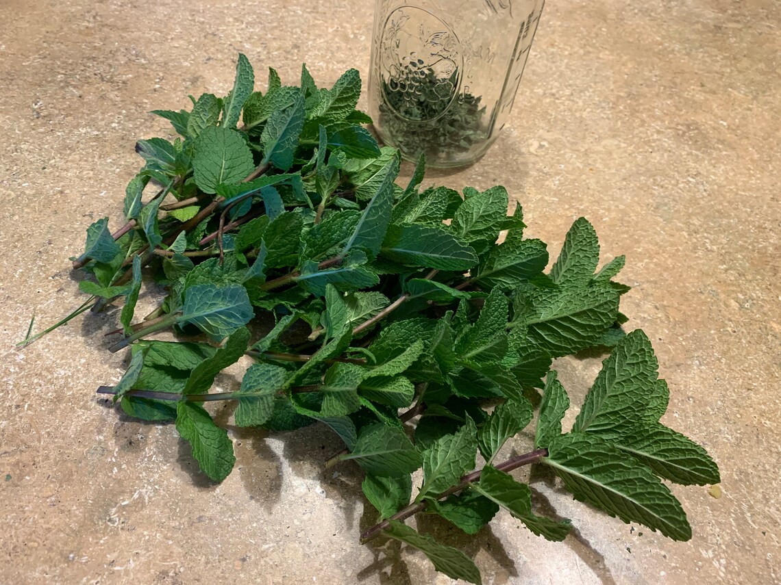 Dried Mint Whole Leaves Etsy