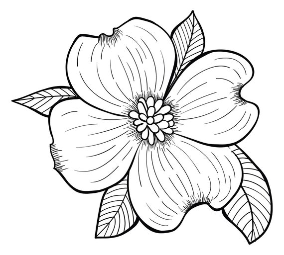 Floral Coloring Pages Set of 50 Printable Pages | Etsy