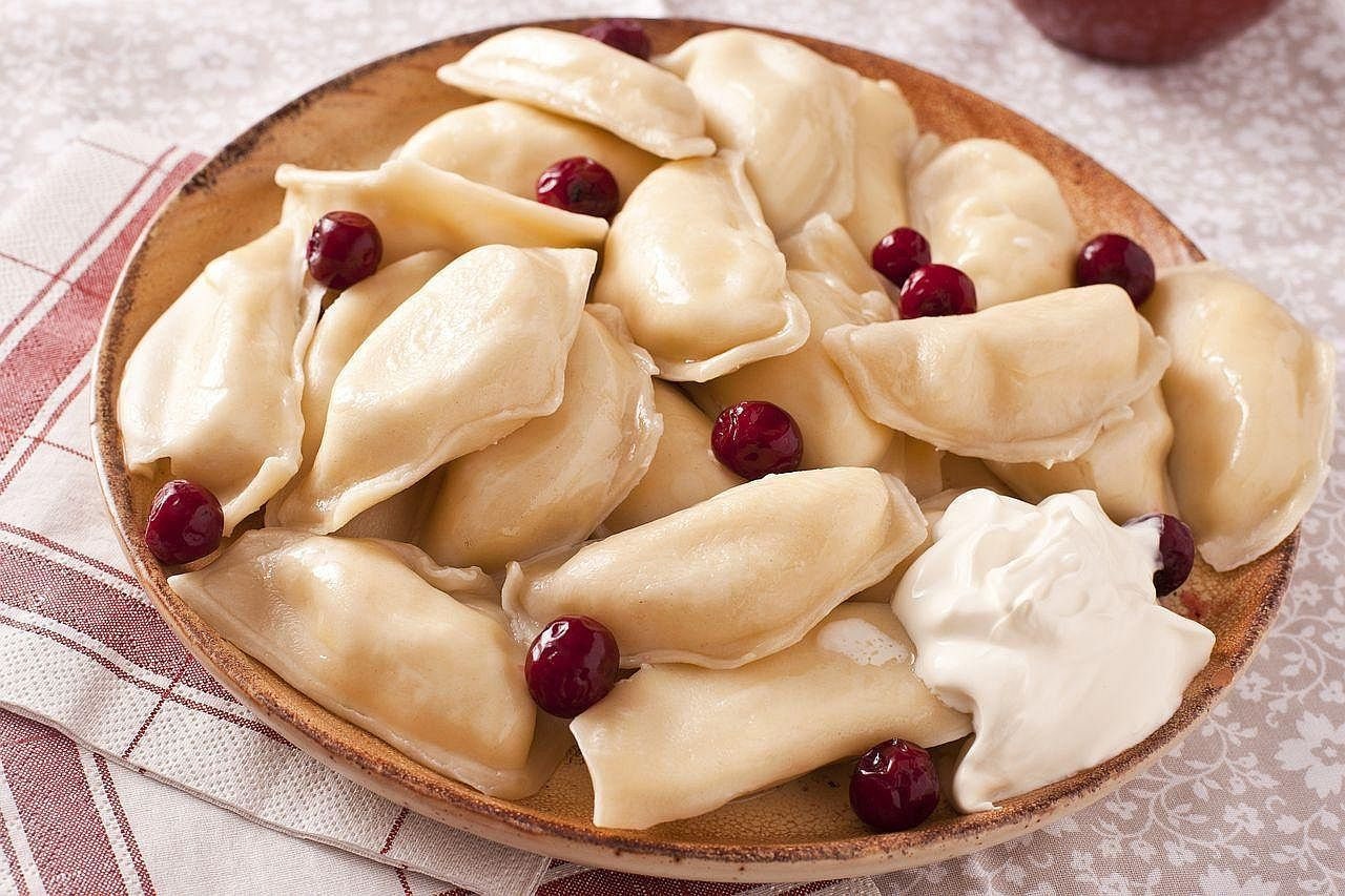 NEW Maker Dumpling Press Pelmeni Mold Ravioli Pierogi Russian Dumplings
