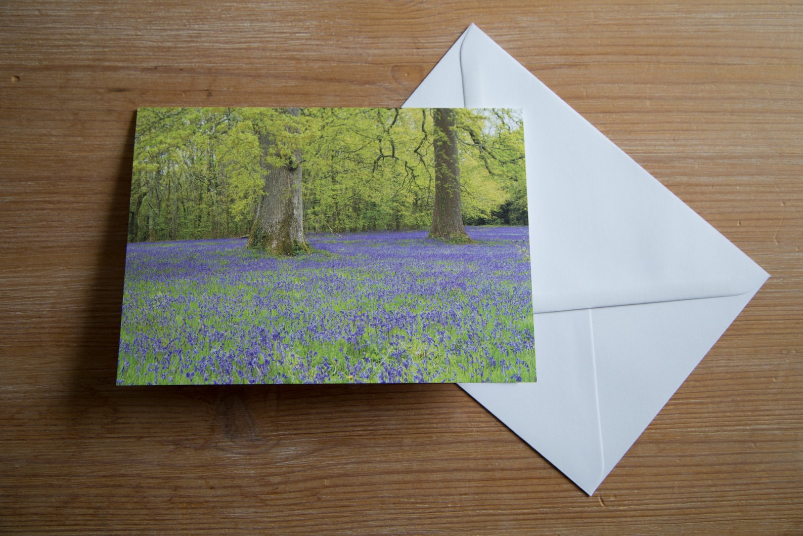 A Field of Bluebells 7x5 Blank Landscape Greeting Card Etsy