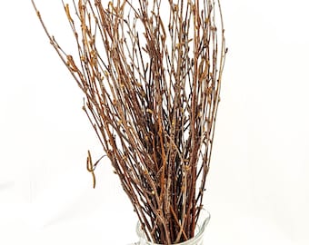 Birch tree branches 50 pcs.