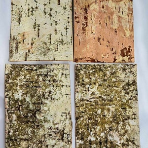 白樺樹皮シート 4 枚 15.5 cm × 10.5 cm / 6.1&quot;x 4,1&quot;