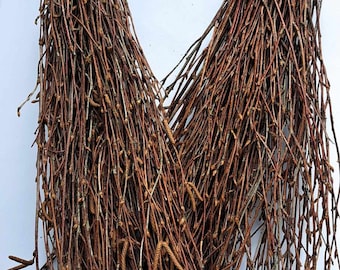 Birch tree branches 100 pcs.