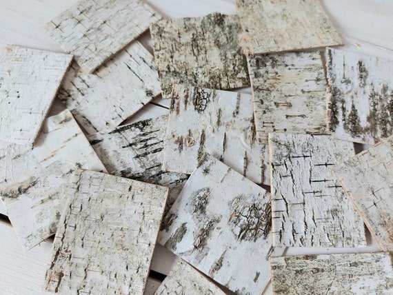 Where to buy birch wood for crafts discount