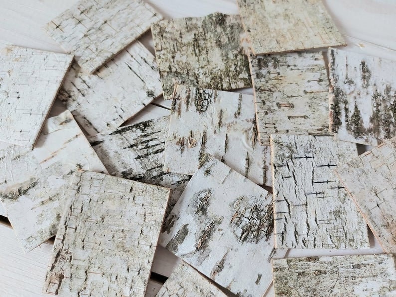 30 White Birch Bark Sheets: Rustic Wedding & DIY Craft Decor