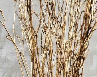 Gold Birch Tree Branches 25 pcs -15-17&quot;