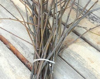 25 Rowan Twigs: Wiccan Amulet Wood Sticks, DIY Craft Supply