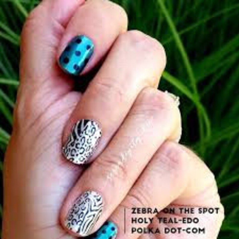 Color Street Zebra on the Spot retired Etsy