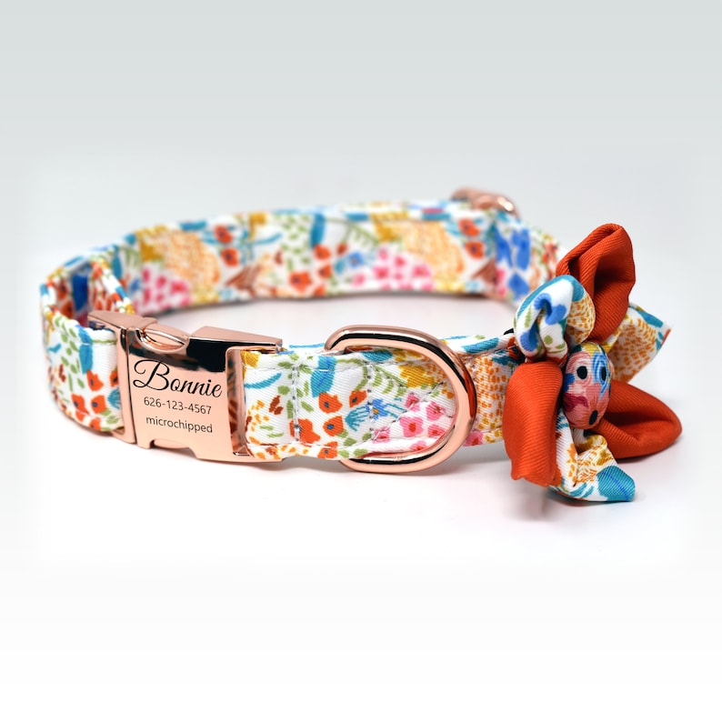 May include: A floral dog collar with a rose gold buckle and a matching bow. The collar has a personalized tag that reads "Bonnie 626-123-4567 microchipped".