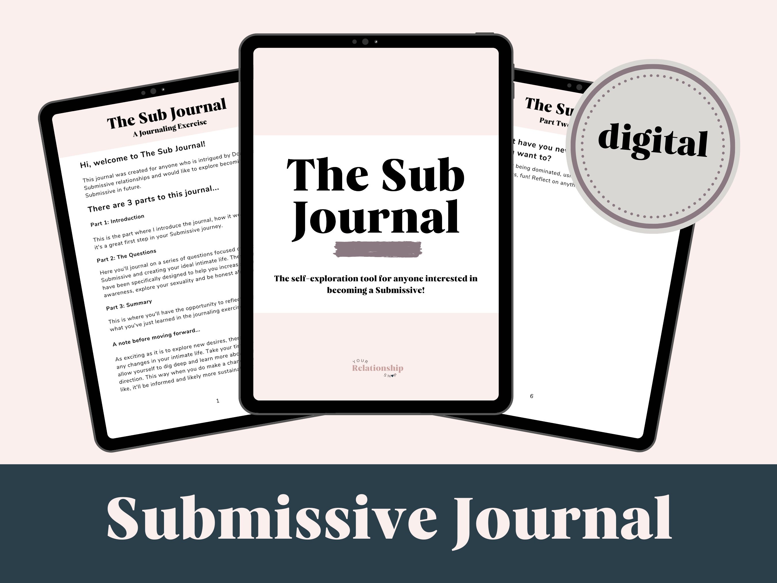 Submissive Journal Submissive Training Dom/ Sub Journal