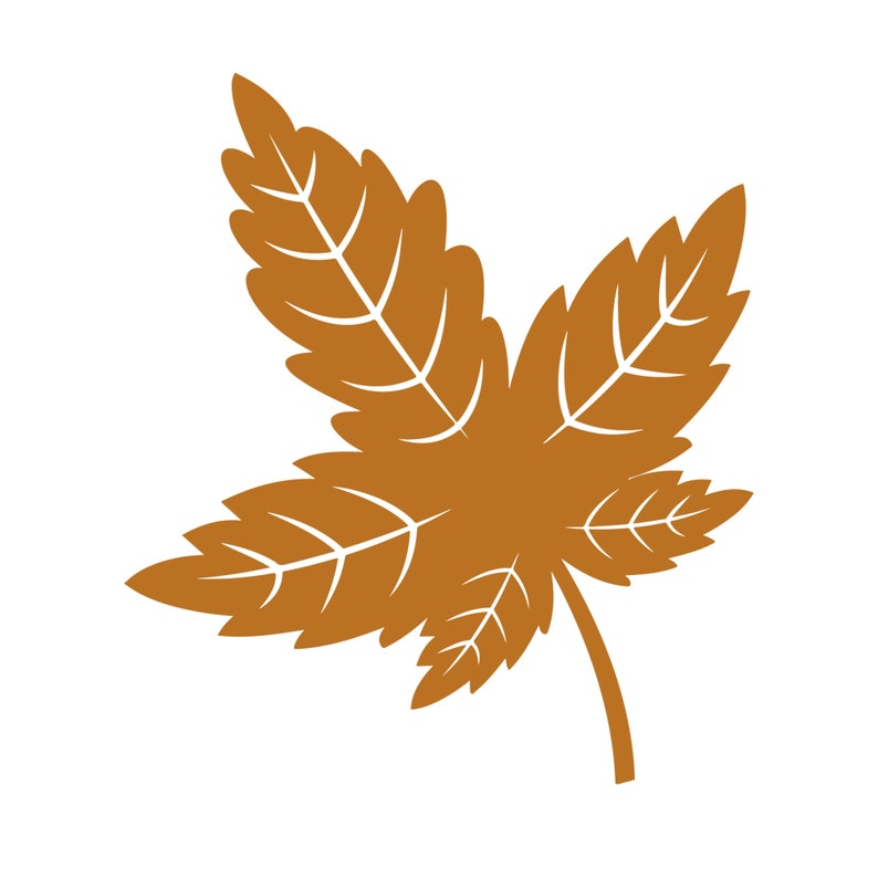 Hojas de otoño svg hoja svg