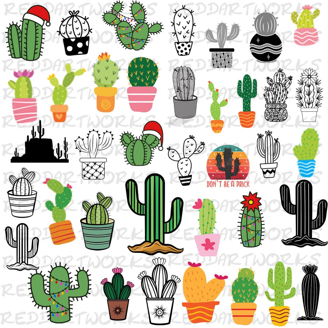 Cactus SVG Bundle, 35 Designs Cactus SVG Bundles, Cactus PNG, Cactus