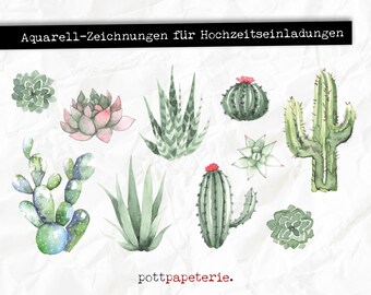 Set of watercolor drawings for wedding invitations: cactus, succulents, agave, aloe vera, cactus
