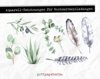 Set of watercolor drawings for wedding invitations: feathers, olive branch, eucalyptus, pilea, agave, poppy capsule