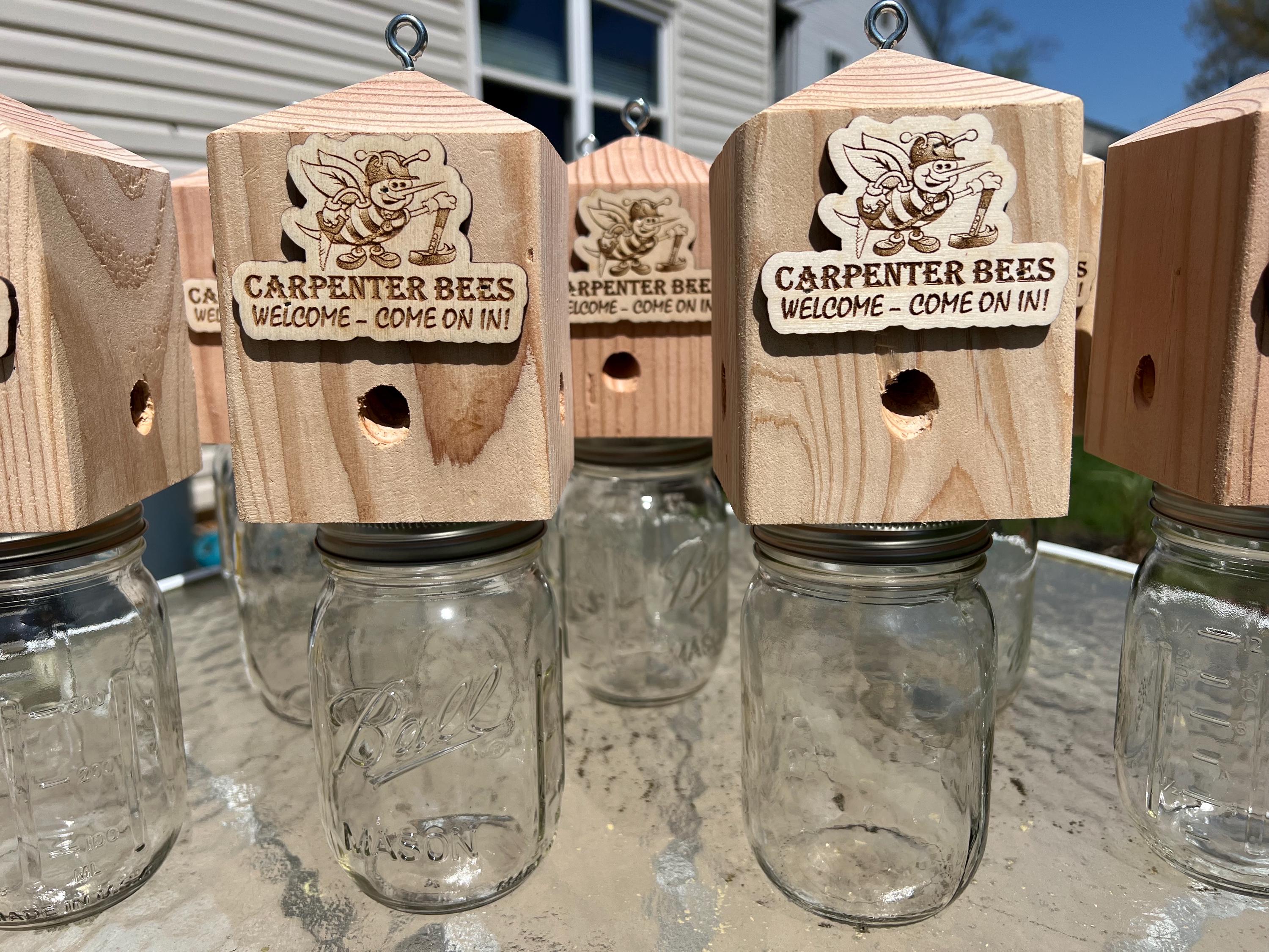 Carpenter Bee Traps