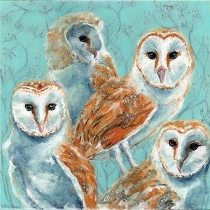 Barn Owl Painting Bird Original Art 16 by 16 Wildlife Artwork Nursery Wall Art Nature Forest Animal Art by AnnaSoulArt