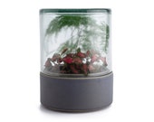 Glass and Ceramic Closed Terrarium, Plant Container, Small Garden, Home Decor and Gift Idea