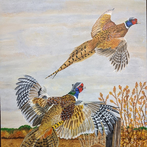 Pheasants Scatter