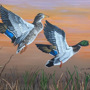 Mallard Couple Flushed Out