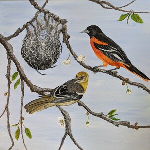 Baltimore Oriole Couple at Nest - Original Paintng