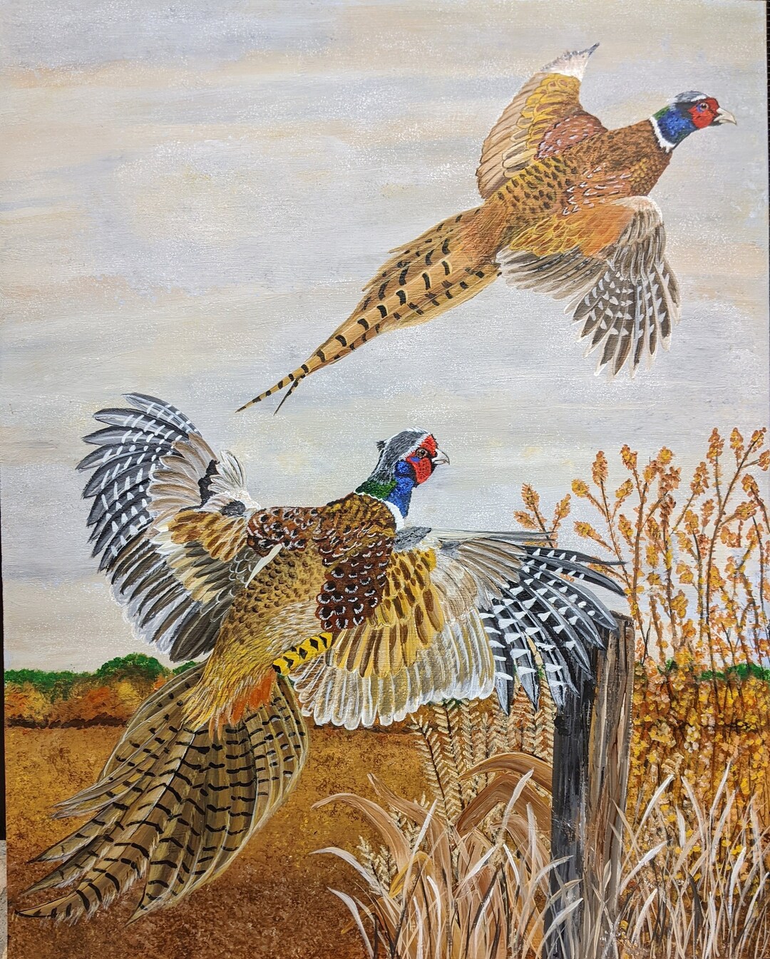 Pheasants Scatter Print: Minnesota Ring-Necked Pheasant Art