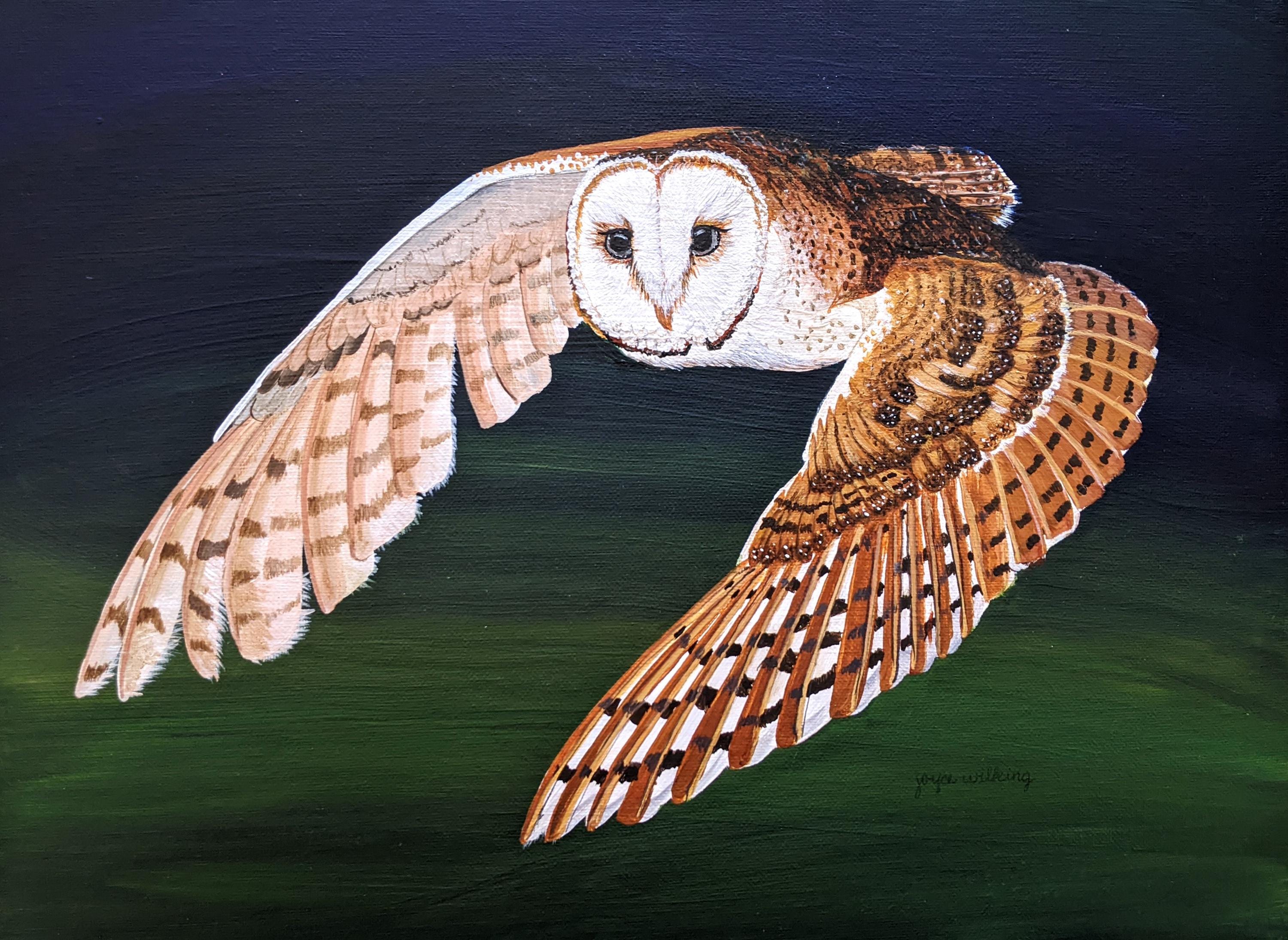 Barn Owl in Flight ORIGINAL Painting REDUCED to Sell