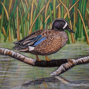 Blue wing teal joshua tree print outlet