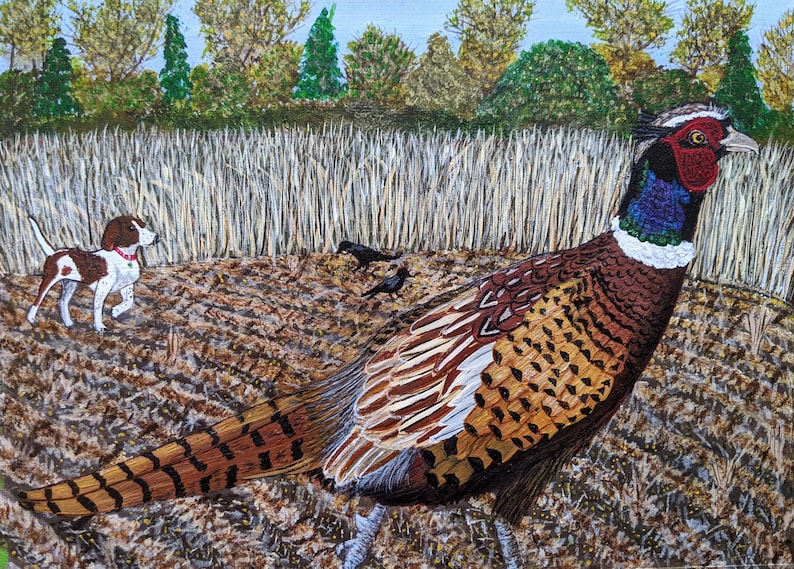 ORIGINAL Ringnecked Pheasant as Submitted to MN DNR 2024 Pheasant