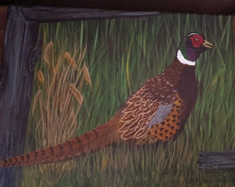 ORIGINAL Ring Necked Pheasant in Field 11"w x 14" h Acrylic Painting