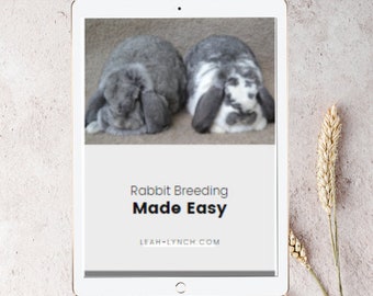 Rabbit Breeding Made Easy