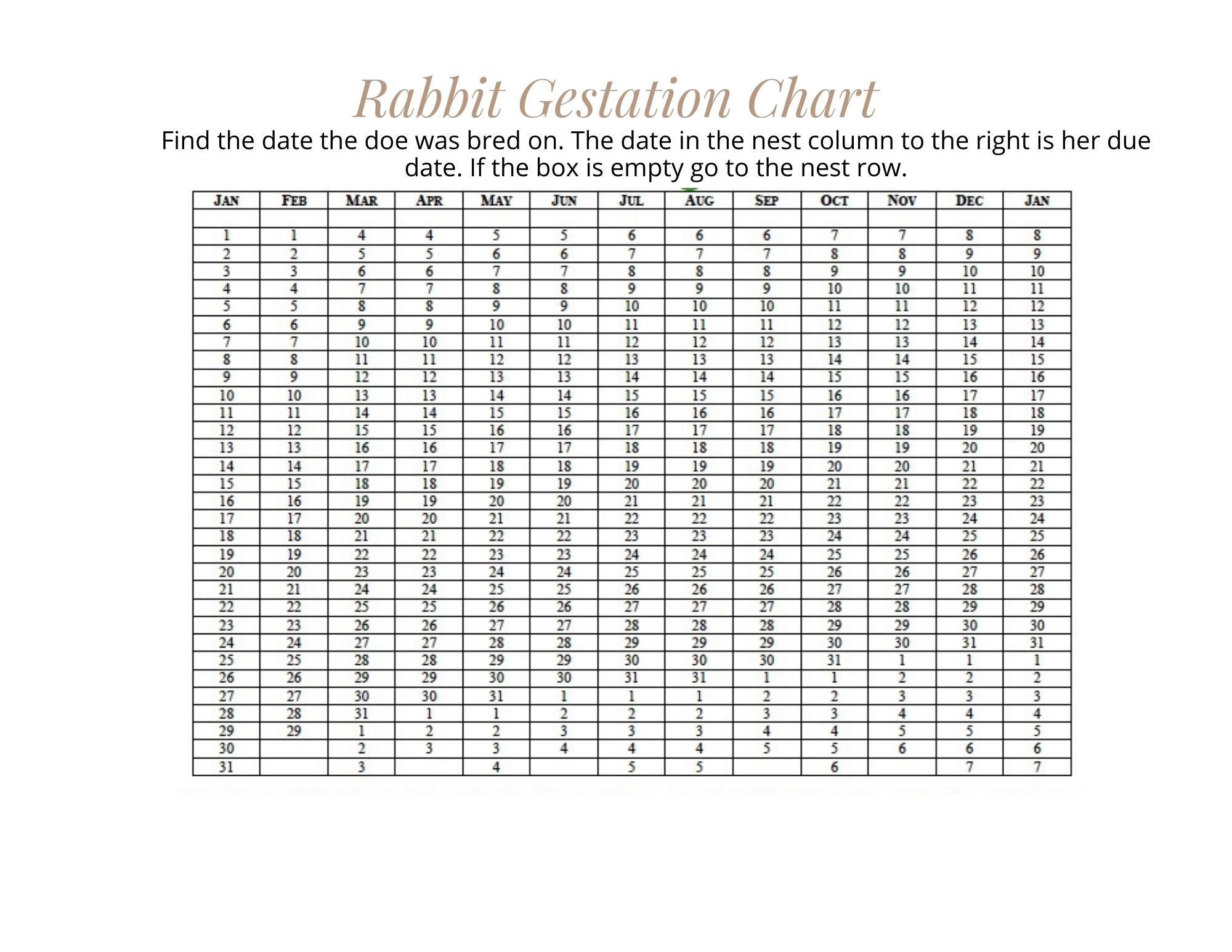 Rabbit Gestation Chart Rabbit Due Date Calculator Etsy