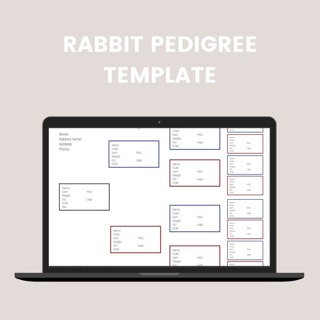 Rabbit Pedigree Template Canva Template, PDF File for Hand Writing Them Rabbit Pedigree Template Canva Template, PDF File for Hand Writing Them