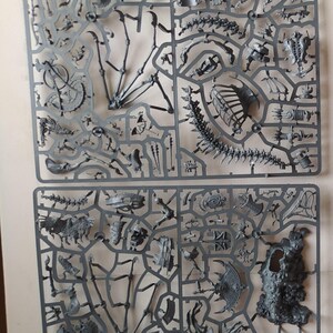 Warhammer Tomb Kings Sprues – Necrolith Bone Dragon & Liche Priest Plastic Sprue Frames – Warhammer The Old World Bits