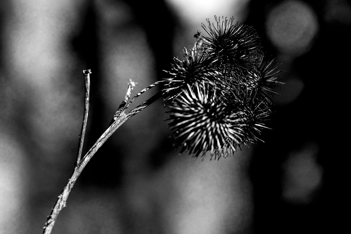 Photographie d'art noir et blanc abstraction 4 | Etsy