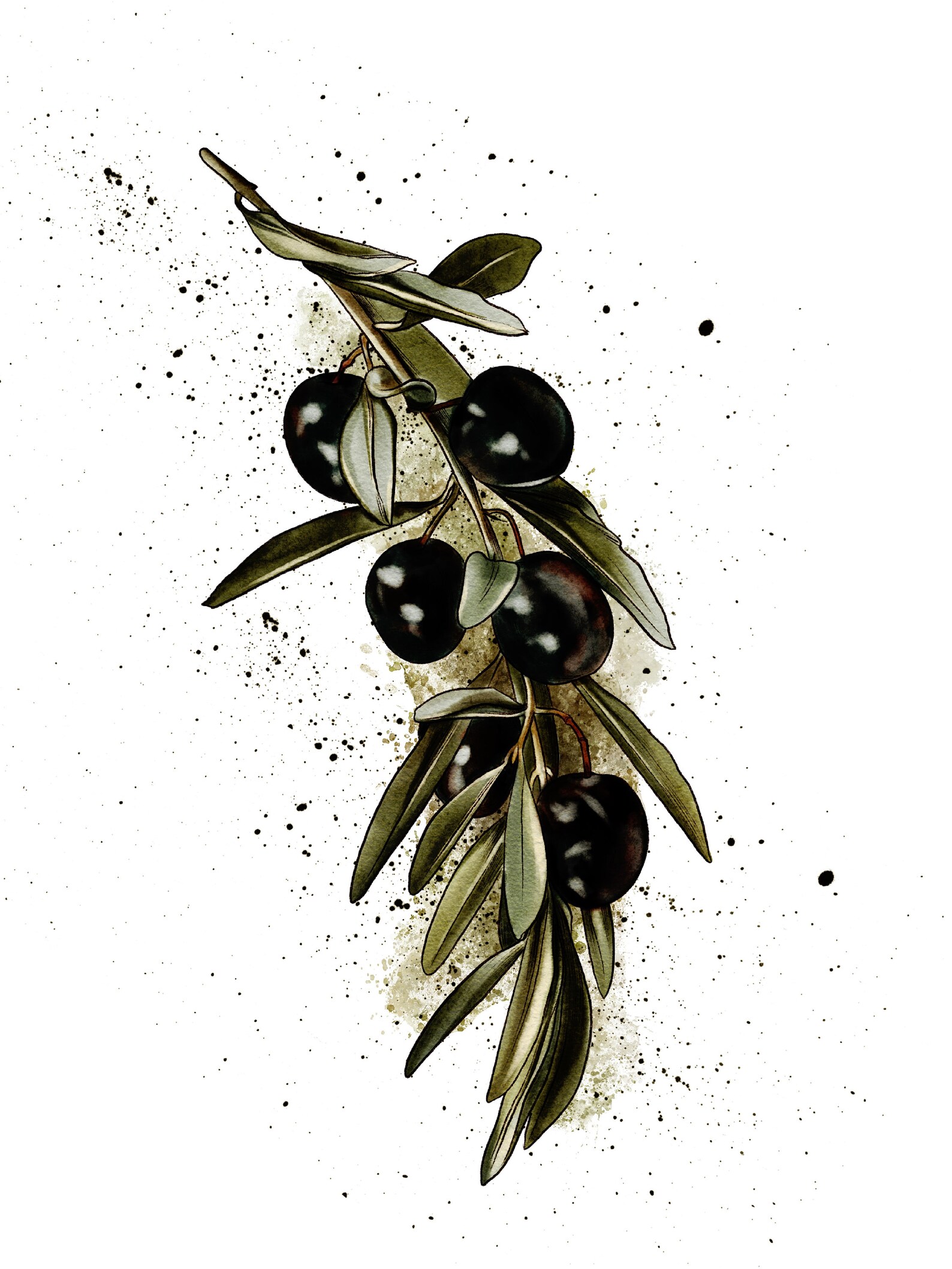 Olive Art Print Olives Watercolor Print Set of 3 olives Etsy
