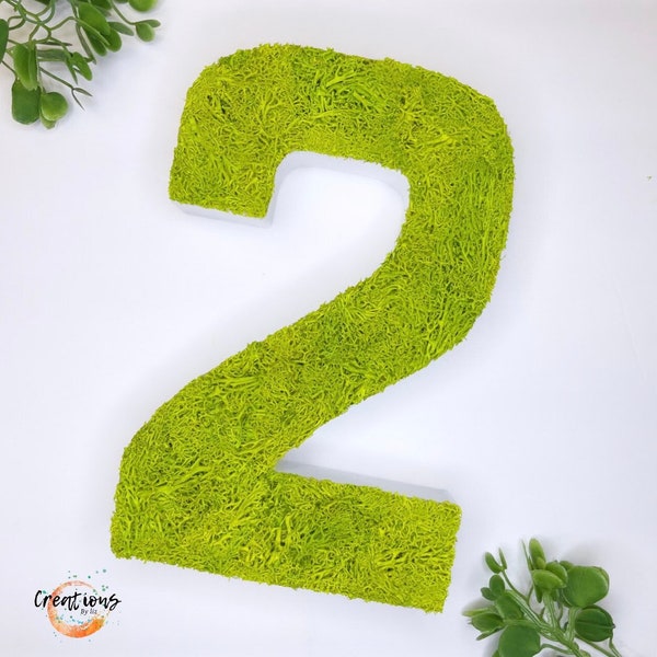 Moss letters, enchanted party centerpiece, enchanted wedding table decor, enchanted forest theme party decor, enchanted 3D letters, wedding