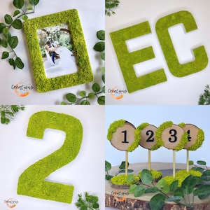 Pu&ograve; includere: Un collage di oggetti decorativi ricoperti di muschio. Include una cornice per foto, le lettere "EC", il numero "2" e segnatavoli. La cornice contiene una foto di matrimonio. I numeri dei tavoli sono su dischi di legno.