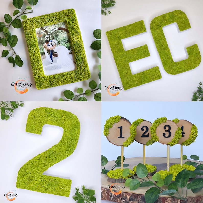 Pu&ograve; includere: Un collage di oggetti decorativi ricoperti di muschio. Include una cornice per foto, le lettere "EC", il numero "2" e segnatavoli. La cornice contiene una foto di matrimonio. I numeri dei tavoli sono su dischi di legno.