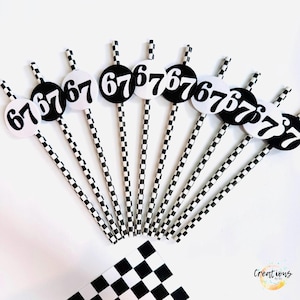 May include: A collection of black and white party decorations. Each decoration features a black circle with the number "67" in white, attached to a checkered straw. A checkered flag is also visible. The theme is racing.