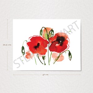 Illustration botanique de coquelicots, aquarelle estivale, fleurs d'été, dessin de fleurs sauvages, champ de coquelicots, peinture abstraite image 5