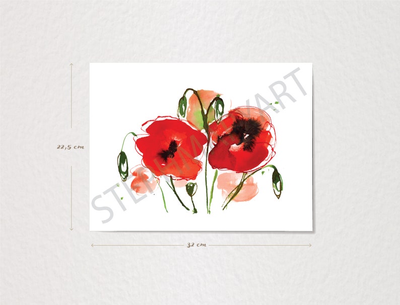 Illustration botanique de coquelicots, aquarelle estivale, fleurs d'été, dessin de fleurs sauvages, champ de coquelicots, peinture abstraite image 5